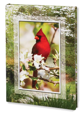 Spring Cardinal Funeral Guest Book - 6 Ring - ST8542OLD-BK