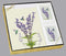 Hummingbird II Stationery Box Set - ST8798-BX