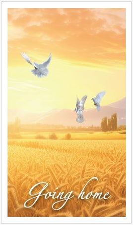 Grace Line Series Going Home Prayer Card - STGR101-PC