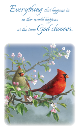 Premium Line Series Cardinal Prayer Card - STPR105-PC