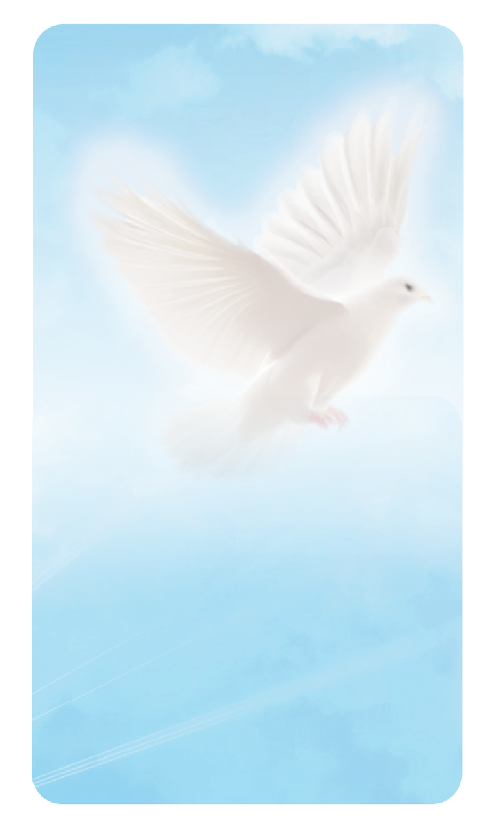 Premium Line Series Peaceful Dove Prayer Card - STPR106-PC| Infinityurns