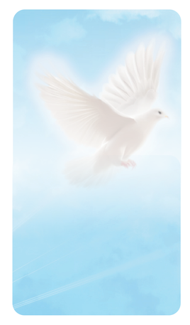 Premium Line Series Peaceful Dove Prayer Card - STPR106-PC