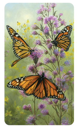 Premium Line Series Peaceful Butterfly Prayer Card - STPR107-PC